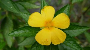 G890f1929a66f6f340e96e9f3a3cd83a9f34d6ba538e988b8ebef406dcfd057389f0341f6ad7169aa72b22917fc886b31990878afc2ef8c2f79acf909cf96eacb 640